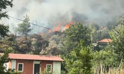Muğla Fethiye'de Orman Yangını Yerleşim Yerlerine Sıçradı