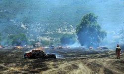 Muğla Menteşe'de Tonlarca Saman Balyası Yangında Zarar Gördü