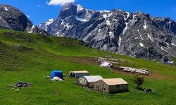 Munzur Yaylalarında Geleneksel Erzincan Tulum Peyniri Üretimi