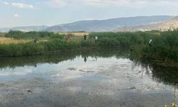 Muş'ta Dere Kazasında İki Genç Hayatını Kaybetti