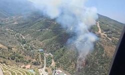 Narlıdere Orman Yangını İzmir Ekiplerinin Müdahalesiyle Kontrol Altına Alındı