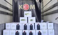 Niğde'de Kaçakçılık Operasyonunda Bin Litre Etil Alkol Ele Geçirildi