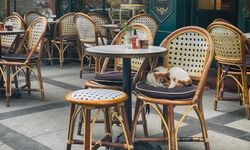 Restoran ve Kafelerde Evcil Hayvanlara Yeni Yasak Geliyor