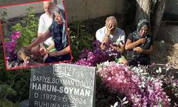 Safiye Soyman, Oğlu Harun Akaröz'ü Mezarı Başında Gözyaşlarıyla Andı