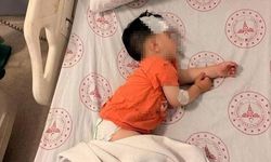 Şanlıurfa'da Sokak Köpeklerinin Saldırdığı Çocuk Hastaneye Kaldırıldı