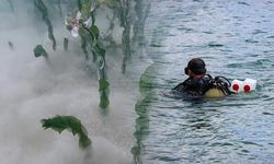 Sapanca Gölü'ndeki Pamuksu Oluşumun Sırrı Çözüldü: Alg Türü Olduğu Belirlendi