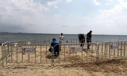 Şarköy Sahilinde Nesli Tehlike Altındaki Kum Zambakları Koruma Altına Alındı
