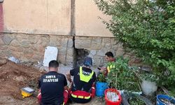 Seydişehir'de Mahsur Kalan Kedi 9 Saatlik Operasyonla Kurtarıldı