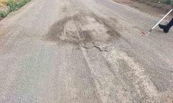 Sivas Şarkışla'da yılanlar odun yığınlarında itfaiyeyi alarma geçirdi