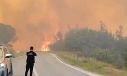 Susurluk'taki Orman Yangınına Havadan ve Karadan Yoğun Müdahale