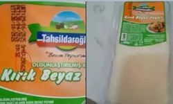 Tahsildaroğlu Beyaz Peynirinde Listeria Bakterisi Tespiti ve Resmi Müdahale
