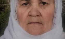Tatvan'da Yük Treni Çarpan Yaşlı Kadın Hayatını Kaybetti