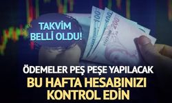 Temettü Ödemeleri Bu Hafta Başlıyor: Hangi Şirketler Hissedarlarına Nakit Dağıtacak?