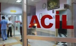 Tosya'da Kiraz Yedikten Sonra Rahatsızlanan Çift Hayatını Kaybetti