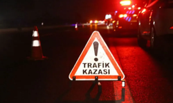 Tunceli'de Trafik Kazası: Otomobil ile Pikap Çarpıştı, 1 Kişi Hayatını Kaybetti