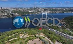 Türkiye ile OECD Arasında İstanbul Merkezi Kurulmasına İlişkin Protokol Onaylandı
