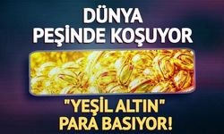 Türkiye'nin Antep Fıstığı İhracatı İlk Yarıda 60 Milyon Dolara Ulaştı