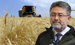 Türkiye'nin Tarımsal Hasılası 83,2 Milyar Dolara Ulaştı