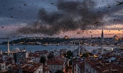 Türkiye'ye Balkanlar'dan Gelen Çekirge Sürüleri İstanbul'a Ulaştı