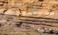 Uçurumdan Denize Atlayan Kişinin Korkunç Sonu