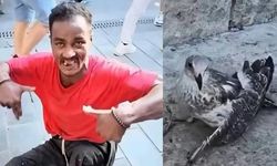 Üsküdar'da martılara falçatayla saldıran Bangladeş uyruklu engelli şahıs yakalandı