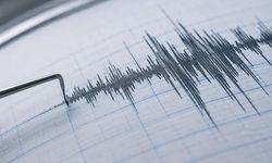 Yeni Zelanda'da 5.9 Büyüklüğünde Deprem ve Tsunami Uyarısı