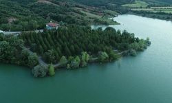 Yozgat'ın Doğa Harikası Pelitli Göl Yeniden Canlandı