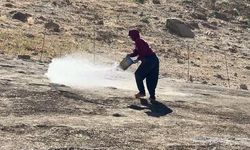 Yüksekova Berivanları Kavurucu Sıcakta Yaylalarda Bin 500 Koyun Sağımında