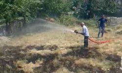 Yüksekova'da Anız Yangını Kısa Sürede Söndürüldü