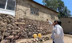 Yüksekova'da Yılan İstilası Ailelerin Günlük Yaşamını Olumsuz Etkiliyor