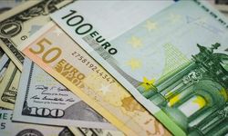 1 Ağustos 2026 Euro Kuru 54,82 TL Seviyesinde