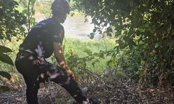 Adana'da Kayıp İki Çocuk İçin Ceyhan Nehri ve Çevresinde Arama Çalışmaları Sürüyor