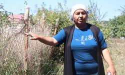 Adapazarı'nda Gulyabani Nöbeti: Mahalle 6 Aydır Taşlı ve Lazerli Tacize Maruz Kalıyor