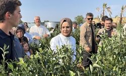 Aile ve Sosyal Hizmetler Bakanı Göktaş Düzce'de Yaban Mersini Bahçesini Ziyaret Etti