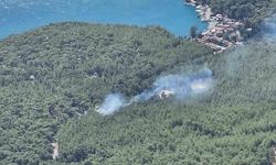 Akyaka'da Çıkan Orman Yangını Hızlı Müdahaleyle Kontrol Altına Alındı