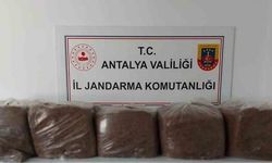 Alanya ve Demre'de 285 Kilogram Kaçak Tütün Ele Geçirildi