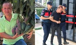 Alanya'da Eşi ve Kayınvalidesini Bıçaklayan Şüpheli Canlı Yayın Sonrası Tutuklandı