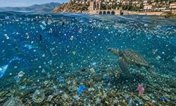 Alanya'daki Plastik Kirliliği Turizmi Tehdit Ediyor: Bilimsel Raporla Kaynaklar Belirlendi