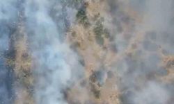 Altıeylül ve Sındırgı'da Orman Yangınına Müdahale Sürüyor