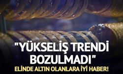 Altın Fiyatlarında Düşüş Endişesi: Yükseliş Trendinin Sürdüğü Değerlendiriliyor