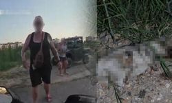 Antalya'da Yavru Köpeğe Vahşet: Alman Vatandaşı Taşla Başını Ezdi