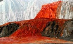 Antarktika Kan Şelalesi'nde Buzullar Altından Yeni Mikroskobik Canlılar Keşfedildi