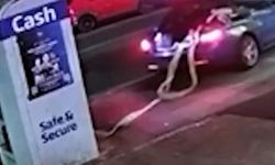 ATM hırsızlığı güvenlik kameralarına yansıdı
