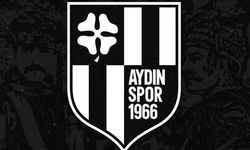 Aydınspor Kulüp Başkanı Arıyor: LinkedIn Üzerinden Eşine Az Rastlanan İlan
