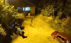 Ayının sesiyle panikleyenlerin kaçış anları kamerada