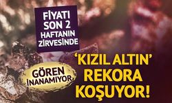 Bakır fiyatları tarihi zirveye yaklaşırken fark yüzde 3'ün altına indi