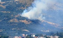 Balıkesir Marmara'daki yangına neden olan şahıs gözaltına alındı