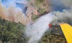 Balıkesir'de Orman Yangını Kütahya Sınırına Ulaştı, Ekipler Müdahaleye Devam Ediyor