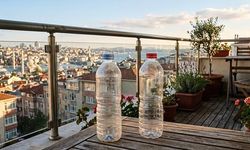Balkonlarda Pet Şişe Kullanımıyla Pratik Çözümler ve Dikkat Edilmesi Gerekenler