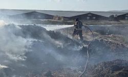 Bandırma Külefli Mahallesi'nde Besi Çiftliği Yakınında Otluk Alanda Yangın